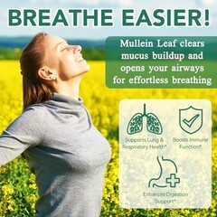 60 Count Mullein Gummies for Lung Cleanse, 2000mg Organic Mullein Leaf Extract f