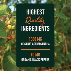 SM Nutrition Ashwagandha Supplement 1300mg Stress Resistance Energy Boost 120 ct