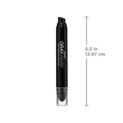 EVERPRO Gray Away Root Touchup Quick Stick, Black, 0.1 Oz 0.1 Ounce (Pack of 1)