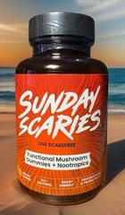 Lion’s Mane & Chaga Functional Mushroom Gummies, Energy & Focus Boost 30 Count
