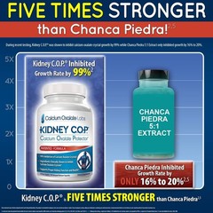 Calcium Oxalate Protector 120 Capsules, Patented Kidney Support for Calcium O…