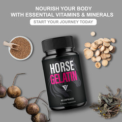Horse Gelatin Performance Capsules, Horse Gelatin Pills (60 Capsules)