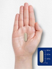 Butterbur 150 Mg Neurological Support Spasms Relieve Decrease Swell, 180 Caps