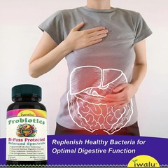 Lactobacillus Cystitis | Best Supplement Capsule Pill Men Women FREE SHIP
