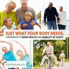 PHYTOCHOICE Advertising Insert CARD for Glucosamine Chondroitin Joint Support