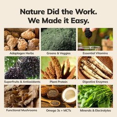 Ka’Chava Whole Body Meal Shake Chocolate 2 lb – Vegan Protein Powder with 85+…