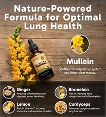 All-Natural RESPICLEAR Mullein Drops with Ginger & Lemon for Lung Cleanse and…