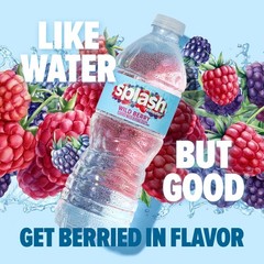 SPLASH REFRESHER Flavored Water Bottles, Wild 16.9 Fl Oz (Pack of 6), Clear