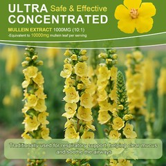 Mullein Extract Supplement Super Concentrated for Lungs Detox and Cleanse 60ML