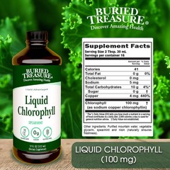 Buried Treasure Liquid Chlorophyll – 16 Fl Oz (473 Ml), Spearmint, Detoxing