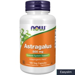 Astragalus 500mg Capsules 100 Count Non-GMO Herbal Supplement