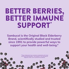 Sambucol Black Elderberry Effervescent Tablets – 15 Count (Pack of 1)