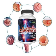 joint support Collagen Glucosamine Chondroitin hyaluronic acid MSM