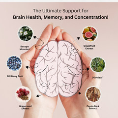 Brain Vex Memory Focus Supplement Cognitive Support Formula w/Bacopa (2 Bottles)