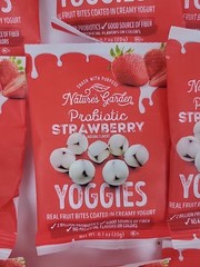 Natures Garden Probiotic Strawberry Yoggies – Lot Of 20 – 0.7 Oz Each