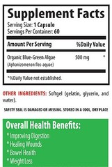 Stem Cell Supplement – Organic Blue Green Algae 500mg – Fatty Acids 2B