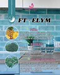 Ft-Elym DTX-OXÍGEN ISMERELY