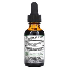 Echinacea Root, Fluid Extract, Alcohol-Free, 1,000 mg, 1 fl oz (30 ml)