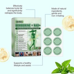 Berberine 5X 10-in-1 Metabolism Appetite Patch Weight Loss Boost Control