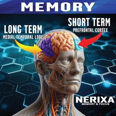 NERIXA Memory Brain Support – Memory, Mental clarity, concentration, focus