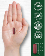 USDA Organic Extra Strength Beet Root 20:1 Extract 8000 mg Strength 120 Capsules