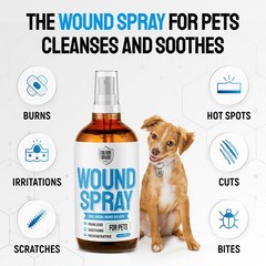 Colloidal Silver Wound Spray for Skin Care | First Aid Spray 50 PPM | 4 oz Gift