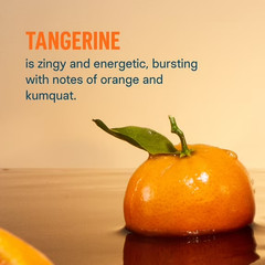 Liquid I.V.® Tangerine Hydration Multiplier® +Immune Support Electrolyte Powder