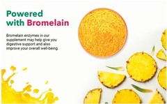 Pineapple Fruit Powder, Concentrate for Drink Mix, Smoothies, Sugar Free 16 Oz