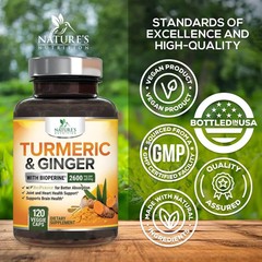 Turmeric Curcumin Supplement 2600mg – with pure Ginger & Turmeric – BioPerine