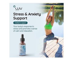 LUV Zen Drops Stress Support with Magnesium Glycinate and Lemon BalM 2 PACK.