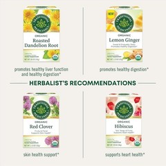 Herbal EveryDay Detox Tea – Bright Lemon Flavor in Compostable 96 Tea Bags