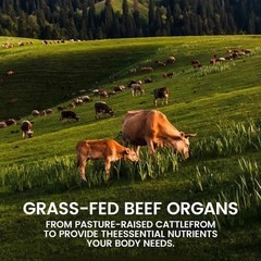 Forgebody Beef Organ Complex Supplement for Men Grass Fed Beef 120 Capsules ….