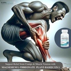 (150 Capsules), 2,253Mg per Serving, Providing 420Mg Elemental Magnesium, L-Thre
