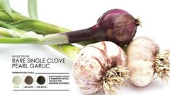 Black Garlic Valley 120day fermented black garlic (4 bottle pack) SUPER FOOD!!!