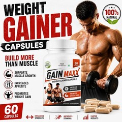 72 Hour Performance Support Natural Wellness Formula 60 Capsules 1 Pack
