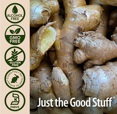 Nature’s Answer GINGER ROOT EXTRACT 1 fl. oz 1000mg ( 30 Servings ) FREE SHIP!