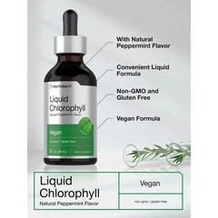 Horbäach Liquid Chlorophyll Drops | 2 oz | Natural Peppermint Flavor | Vegan