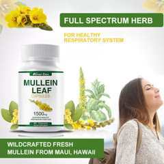 Mullein Leaf Extract 1500mg Lung Cleanse Respiratory Herbal Capsules