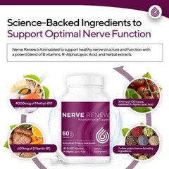 ERVE RENEW innovative Nerve Support – with R-Alpha Lipoic Acid 60 capsules US