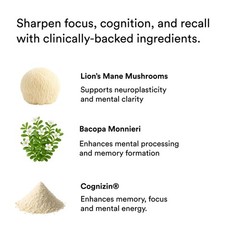 Nootropic Energy & Focus Shots – Lion’s Mane, Ashwagandha, Citicoline, 15 Pack