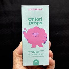 Joyspring Chlori Drops 30 Servings Chlorophyll For Kids Daily Freshness Support