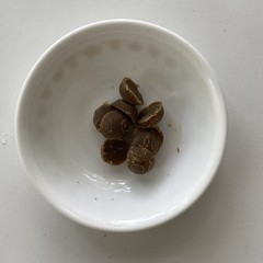 Primal Harvest Super Greens with 5 Mushroom Blend, 60 Gummies Exp 04/27 Read Des