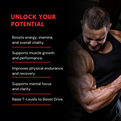 Erectifil: Boost Desire, Stamina & Virility – Male Support Supplement 60 Tablets