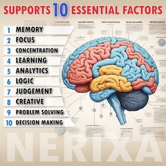 NERIXA Memory Brain Support – Memory, Mental clarity, concentration, focus