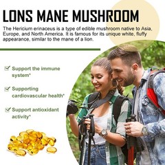 Organic Lion Mane Mushroom Complex Helps with memory immunity anti-inflammatory