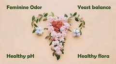 Women’s essential bundle