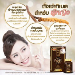 6 X Cordyceps Plus Multi Vit B Increase Sex Performance Healthy Anti-aging Halal