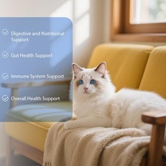 (1-Pack) Blisso innovative Cat Probiotic Drops – Digestive Support Liquid Drops