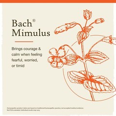 Bach Face Your Fears Homeopathic Remedy 0.7 Fl Oz Courage Against Fear