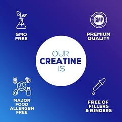 Bulk Creatine Monohydrate Powder Micronized – 5 Grams Per Serving Wholesale LOT